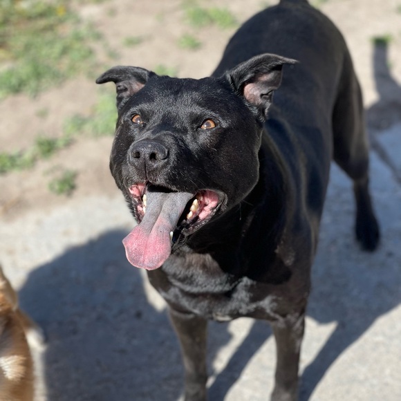 Meet your Posher, Alissa - Picture 9 of 16